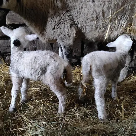 Alloggio in famiglia Old Ing Horton in Ribblesdale
