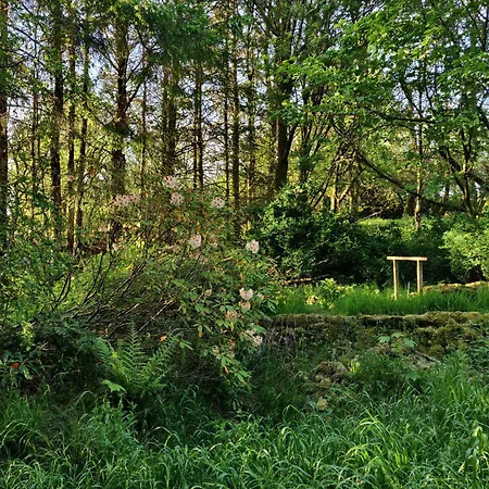 Old Ing 홈스테이 *