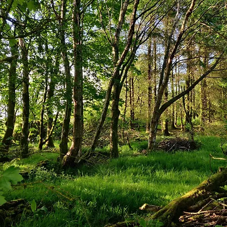 Old Ing 홈스테이