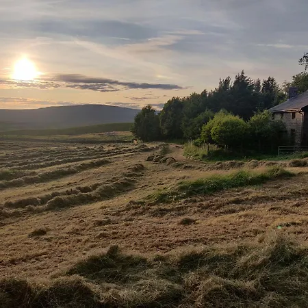 홈스테이 Old Ing *