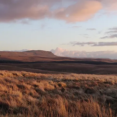 Old Ing 홈스테이