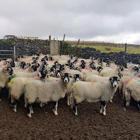 Old Ing * 호턴 인 리블스데일