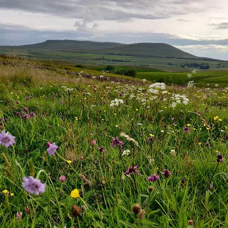 Old Ing * Horton in Ribblesdale